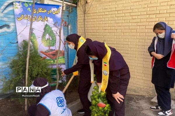 پیشتاز برای ایرانی سرسبز با کاشت نهال
