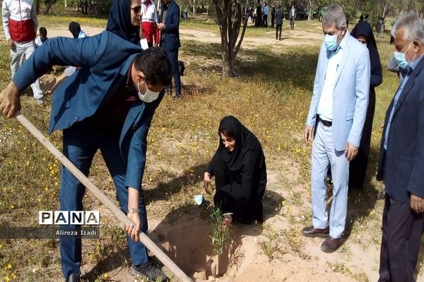 مراسم روز درختکاری در اردوگاه تربیتی امام خمینی (ره)  استان بوشهر چاهکوتا برگزار شد