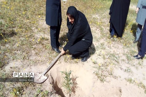 مراسم روز درختکاری در اردوگاه تربیتی امام خمینی (ره)  استان بوشهر چاهکوتا برگزار شد