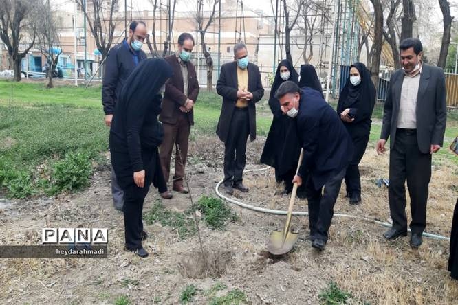 آیین نکوداشت روزملی درختکاری در منطقه ۱۰ شهر تهران