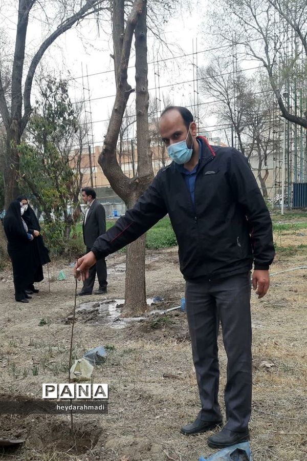 آیین نکوداشت روزملی درختکاری در منطقه ۱۰ شهر تهران
