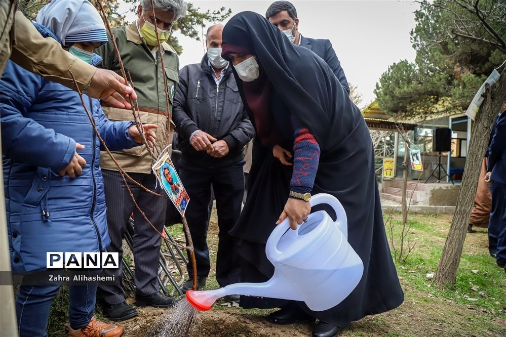 آیین روز درختکاری در اردوگاه شهید چمران تهران