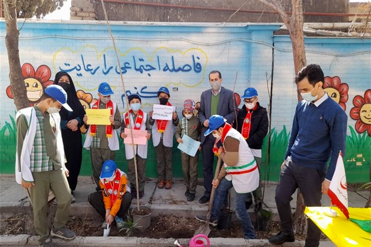دانش‌آموزان استان سمنان ۳۰ هزار اصله نهال غرس کردند