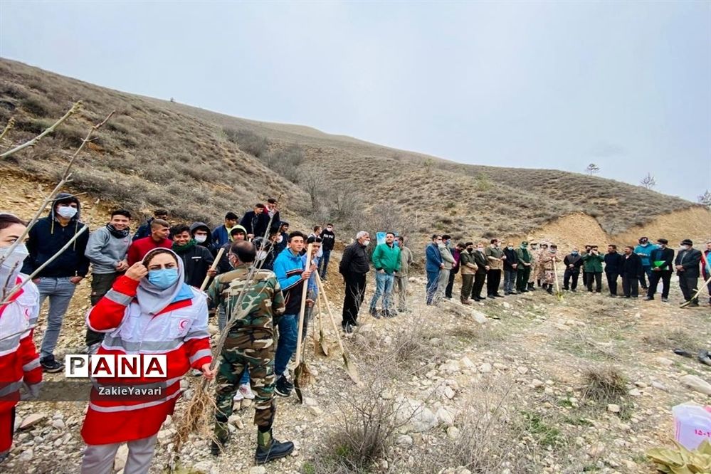 کاشت نهال در مراتع جوزک مانه و سملقان