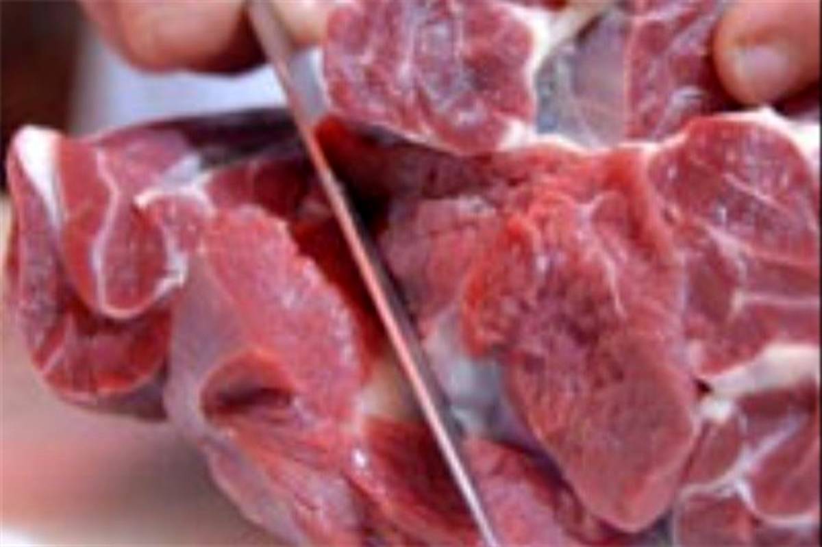 واردات گوشت گرم گوسفندی تا سقف ۱۰ هزار تن در دستور کار
