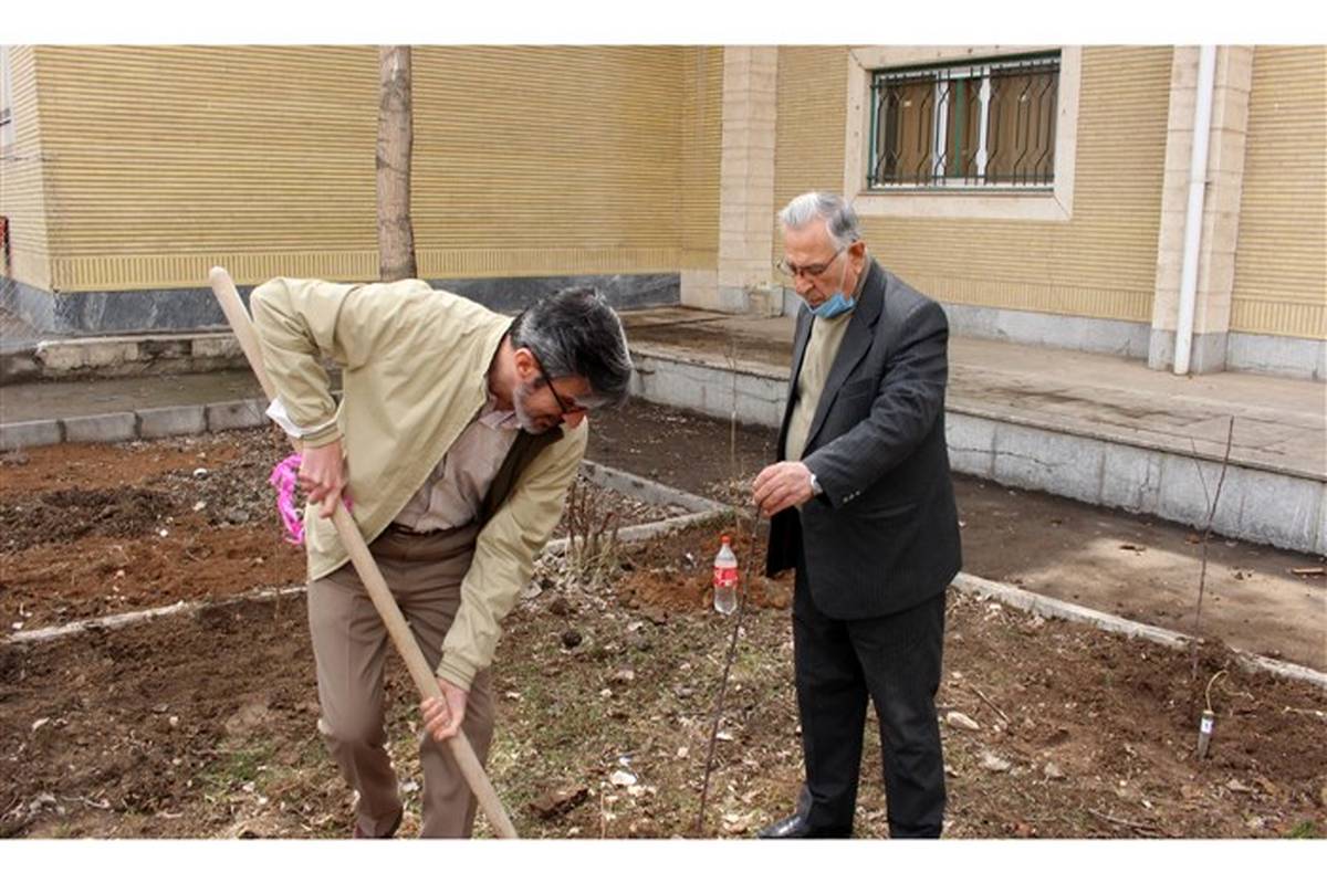 مراسم کاشت 72 اصله نهال در آموزشگاه نمونه دولتی روزبه برگزار شد