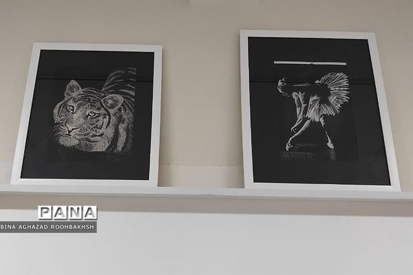 برگزاری نمایشگاه ماهانه عکس در هنرستان آفرینش شهرستان پردیس