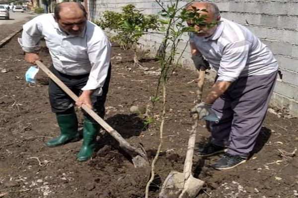 اجرای طرح کمربند سبز روستای شومیا محمودآباد با کاشت یک هزار نهال