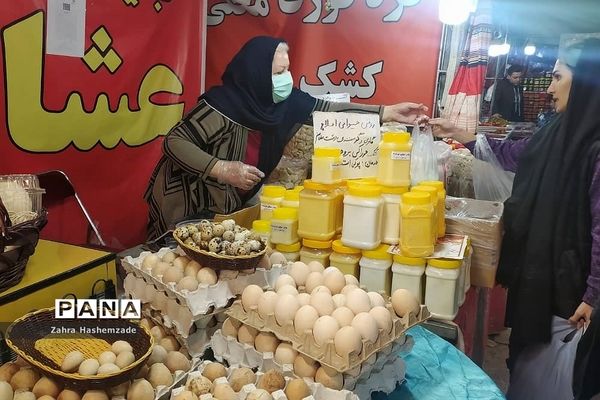 جشنواره عیدانه و صنایع‌دستی در شهرری