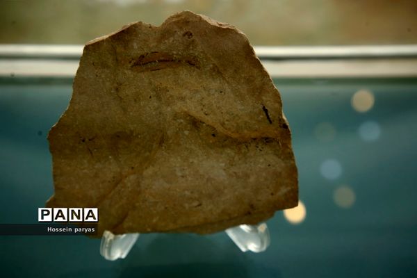 موزه زمان