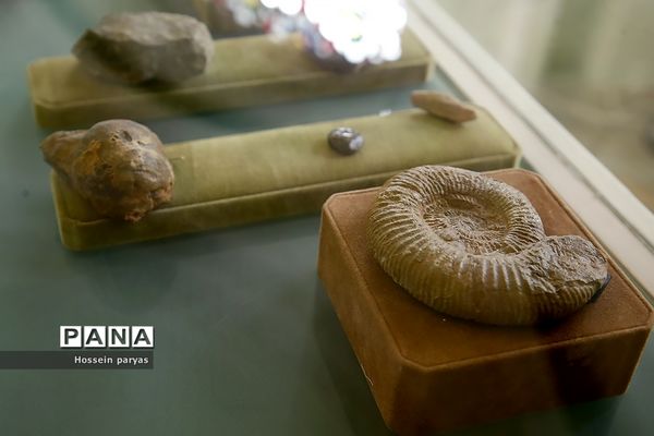 موزه زمان