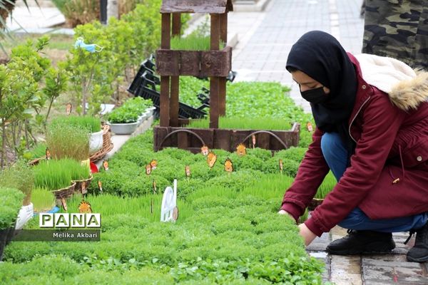 مشهد در آستانه نوروز