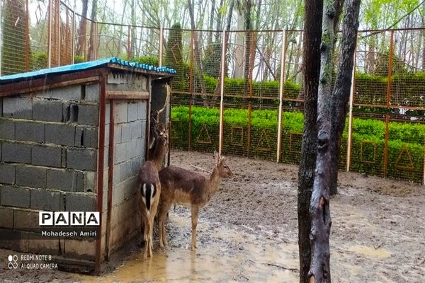 ساخت شهرک گردشگری توسط شهردار بابلسر برای مسافران نوروزی