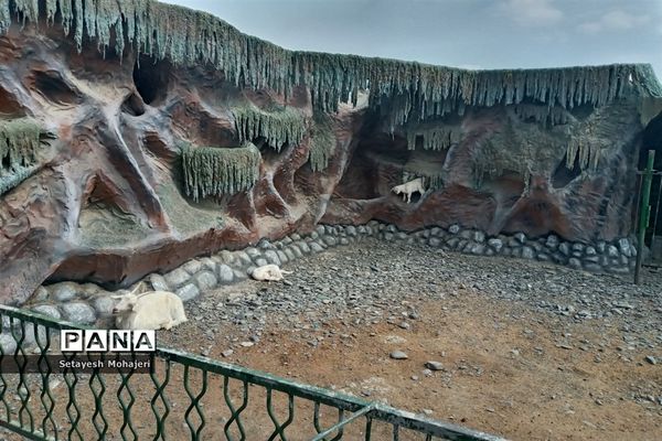 استقبال مسافران نوروزی از باغ وحش وکیل آباد مشهد