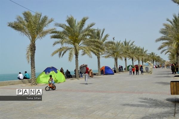 گردشگران نوروزی در سواحل زیبای بوشهر