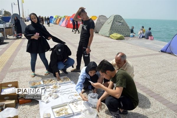 گردشگران نوروزی در سواحل زیبای بوشهر