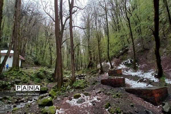 طبیعت بهاری روستای لونک