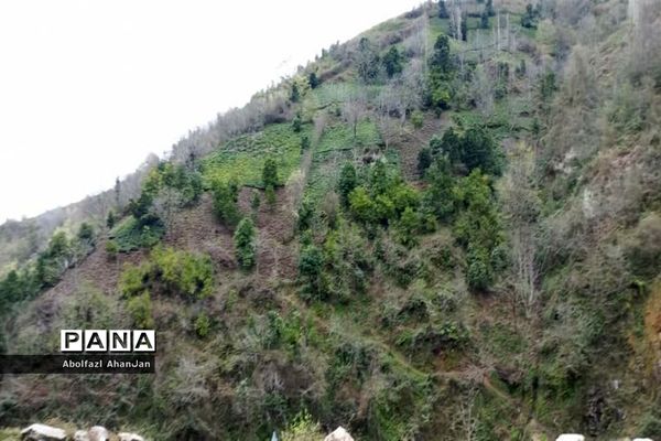 طبیعت بهاری روستای لونک