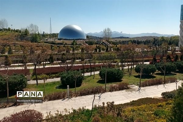 پل طبیعت، از مکان‌های دیدنی تهران