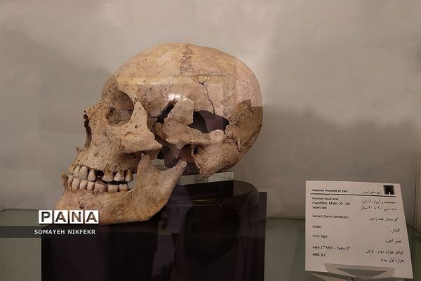 موزه ملی ایران