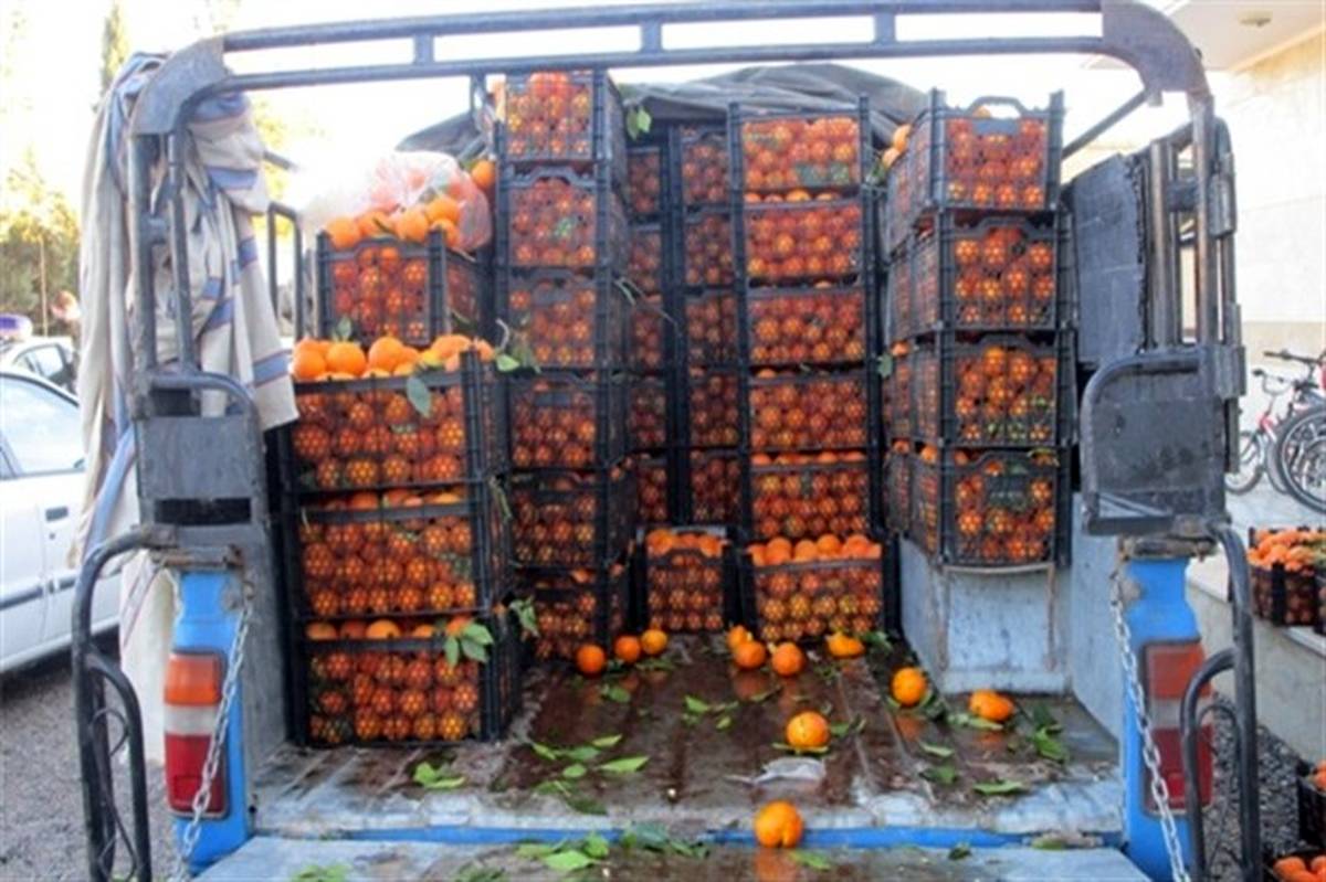 قیمت پرتقال در میادین میوه و تره بار از نوروز ۱۴۰۰ ارزان‌تر است
