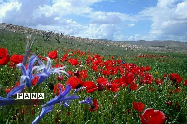 طبیعت زیبای روستای اسفندان