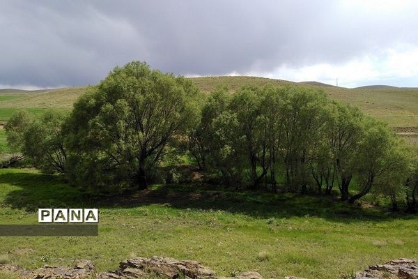 طبیعت زیبای روستای اسفندان