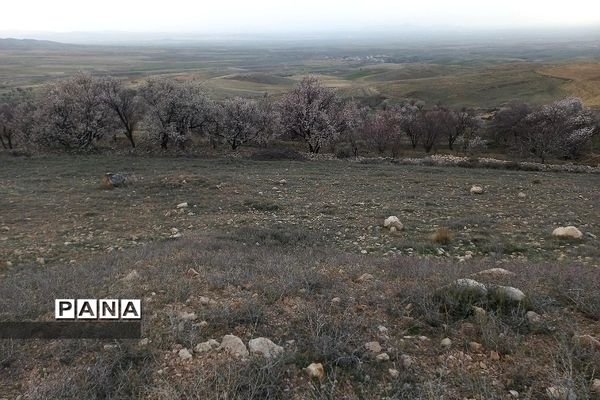 طبیعت زیبای روستای اسفندان