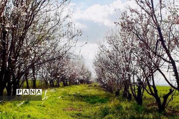 طبیعت زیبای روستای اسفندان