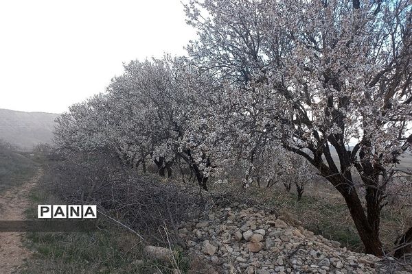 طبیعت زیبای روستای اسفندان