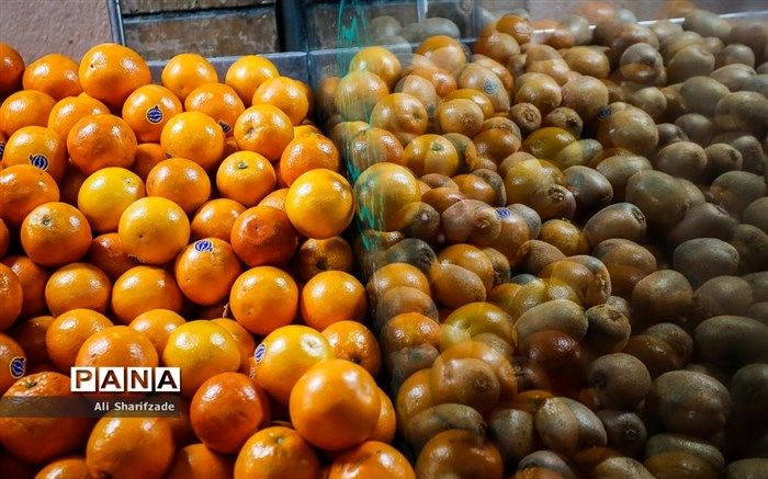 262  میدان و بازار میوه و تره‌بار برای ارائه خدمات در ماه رمضان آماده است