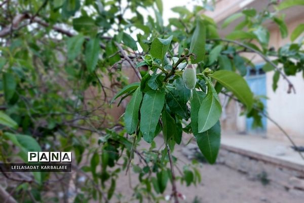 طبیعت زیبای روستاهای هومبر و دوک