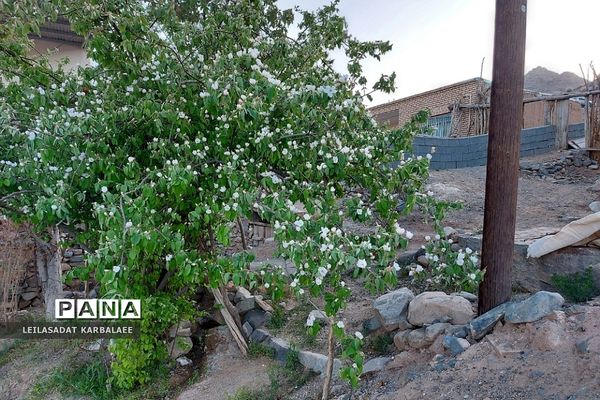 طبیعت زیبای روستاهای هومبر و دوک