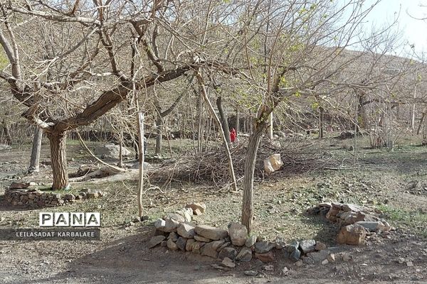طبیعت زیبای روستاهای هومبر و دوک