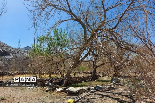طبیعت زیبای روستاهای هومبر و دوک