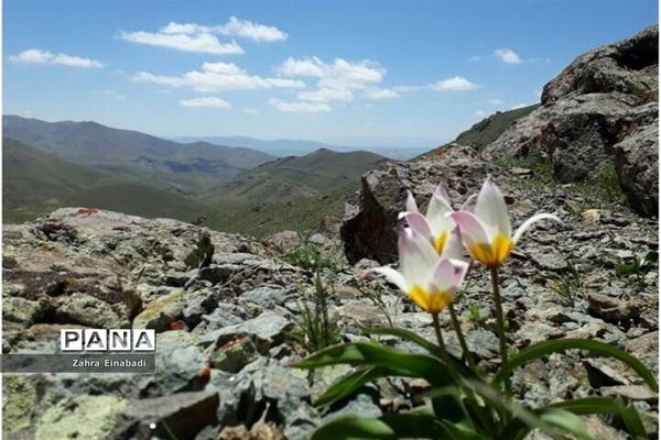 سفری  به روستای عین‌آباد