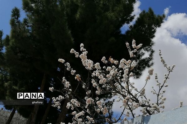 طبیعت زیبای بهاری روستای حصار دماوند