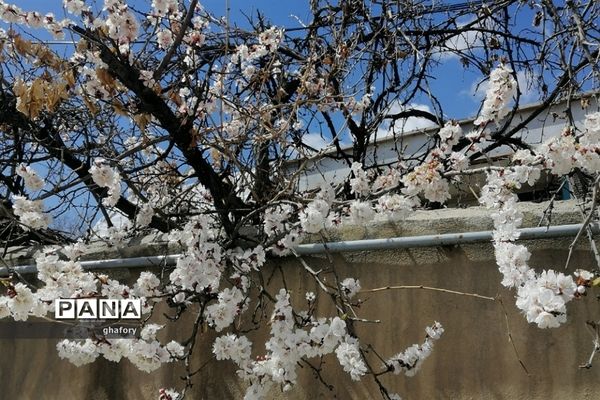 طبیعت زیبای بهاری روستای حصار دماوند