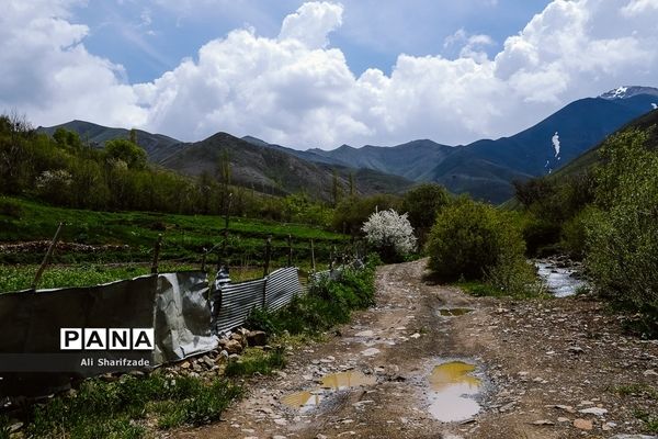 طبیعت زیبای منطقه کوهستانی البرز مرکزی