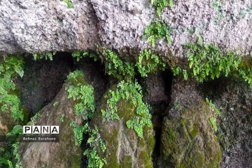 غار لادیز؛ جاذبه‌ای طبیعی و جذاب در فصل بهار