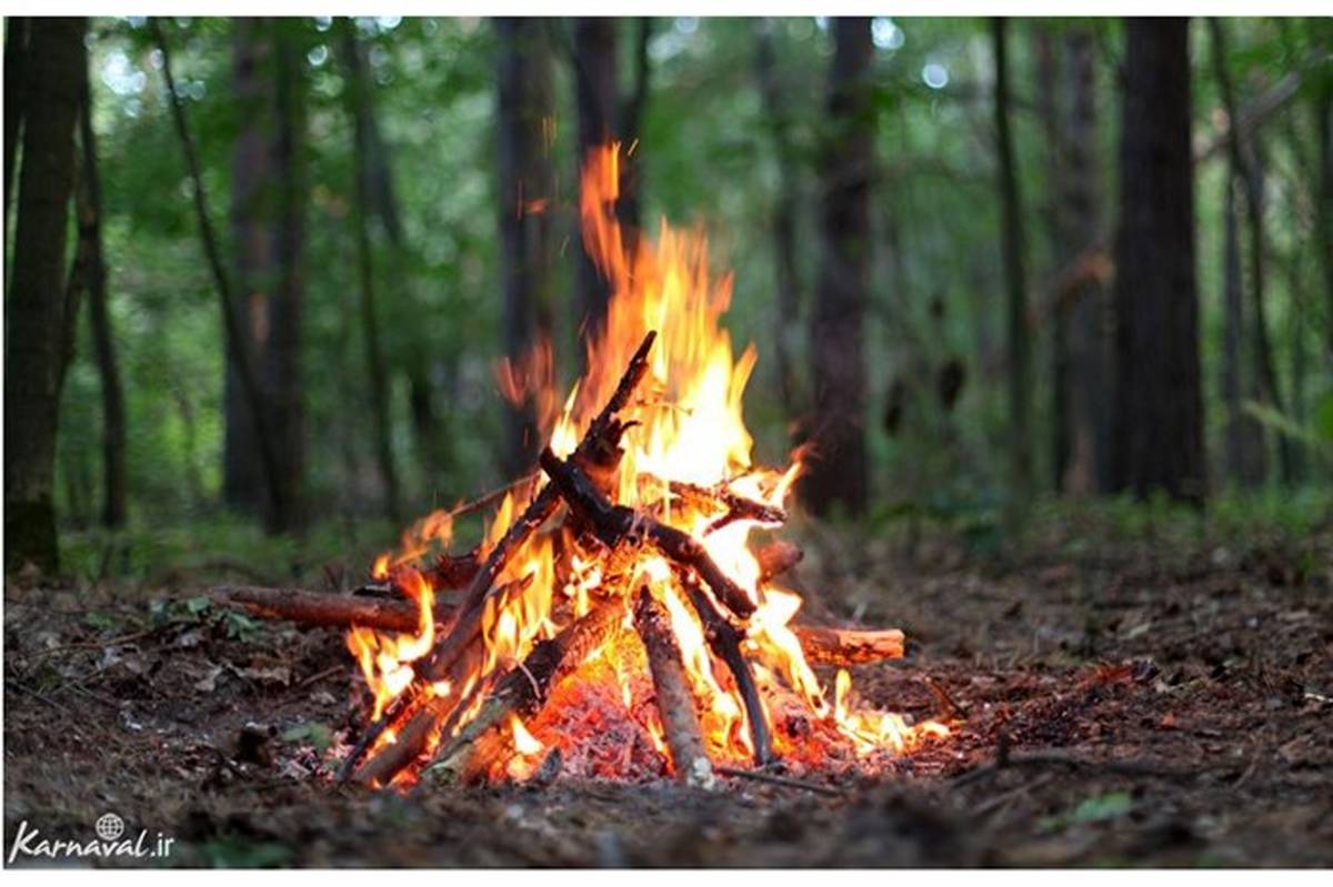 در روز طبیعت در جنگل‌ها و مراتع آتش روشن نکنید