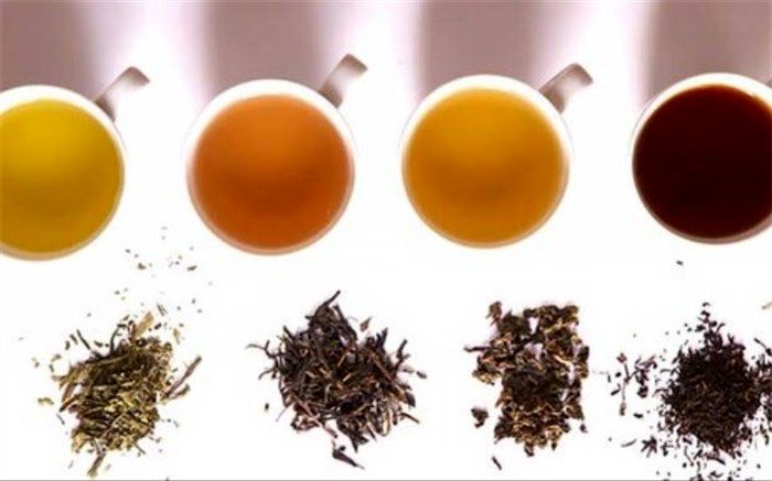 معجزه این ۵ چای در بالابردن سیستم ایمنی بدن