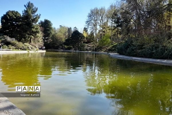 طبیعت زیبای بهاری باغ گیاه‌شناسی ملی ایران