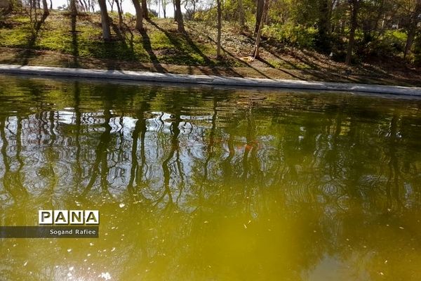 طبیعت زیبای بهاری باغ گیاه‌شناسی ملی ایران