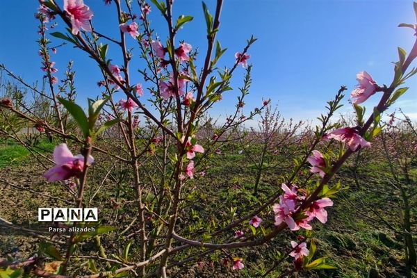 طبیعت استان مازندران در فصل بهار