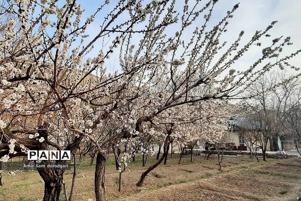 روستای سادات محله در رودهن