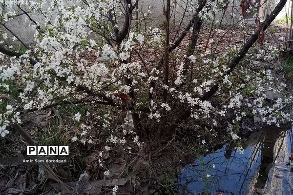 روستای سادات محله در رودهن
