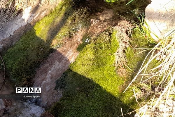 طبیعت استان چهارمحال و بختیاری در فصل بهار