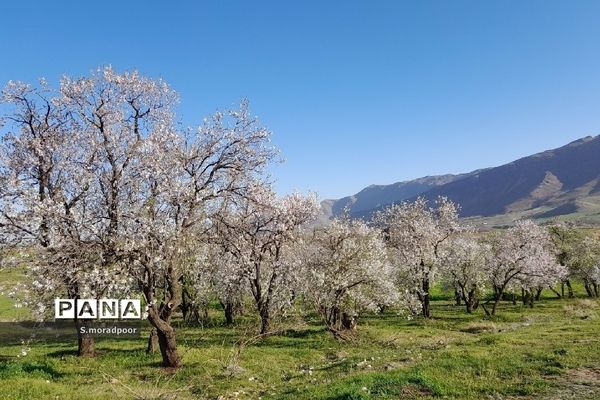 طبیعت استان چهارمحال و بختیاری در فصل بهار
