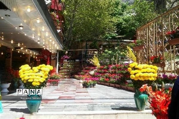 طبیعت زیبای منطقه دربند تهران، در سیزدهم فروردین